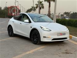 تسلا موديل Y